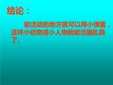 二年级下册美术课件－19.蹦蹦跳跳｜湘美版
