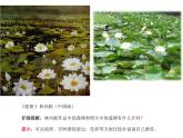 小学美术 人美版 五年级下册 《深度空间》  部优课件