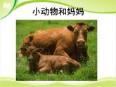 美術一年級下嶺南版－第8課《小動物和媽媽》  課件