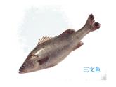 美術(shù)一年級下嶺南版－第7課《大魚和小魚》  課件