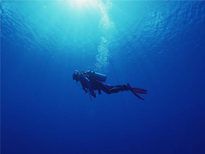 美术一年级下岭南版－第2课《海底世界多奇妙》  课件第2页