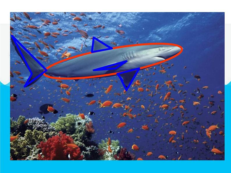 美术一年级下岭南版－第2课《海底世界多奇妙》  课件第5页