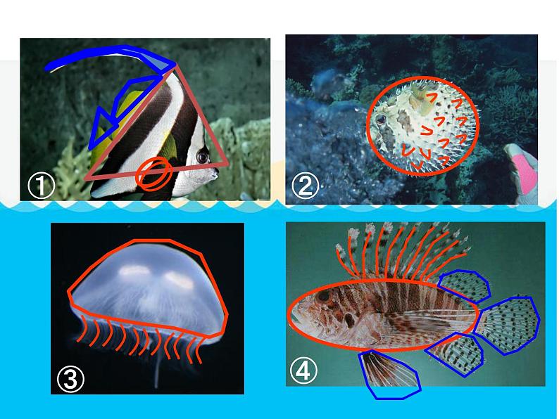 美术一年级下岭南版－第2课《海底世界多奇妙》  课件第7页