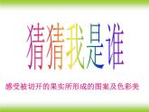 美术二年级下岭南版－第7课《切开的果实》 课件