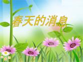 第13課《春天的消息》 課件