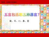 第8課《表情豐富的臉》 課件