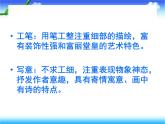 第14課《夏日的涼風(fēng)》 課件