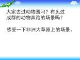 第14課《成群的動(dòng)物》 課件