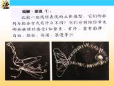 美術(shù)五下嶺南版－第12課《線(xiàn)材與面材的立體造型》課件