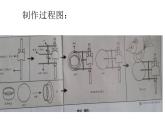 第9課《會打鼓的鳥》 課件