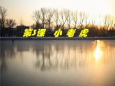 第3课《小老虎》 课件