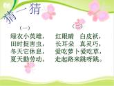 第19课《蹦蹦跳跳》 课件