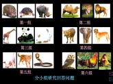 赣美版二下6.动物乐园 课件