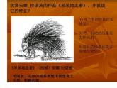 五年级下册美术课件－8.不同物象的表面特征 ｜岭南版