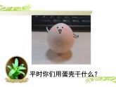 10有趣的蛋殼造型 課件