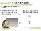 10有趣的蛋壳造型 课件