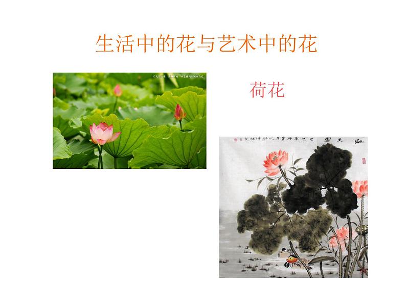 16生活与艺术中的花 课件02