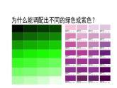 12綠色和紫色的畫 課件