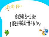 赣美版二下4.春夏的色彩 课件