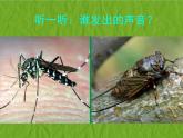 赣美版二下5.虫虫世界 课件