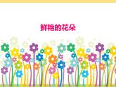 赣美版一下2.鲜艳的花朵 课件