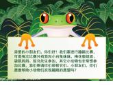 赣美版一下6.弹簧宝贝 课件