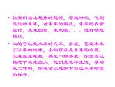 赣美版三下 3.未来的畅想 课件