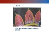 赣美版三下 12.黑板报 课件