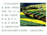 冀美版小学美术五下 1.色彩的对比 课件