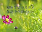 冀美版小学美术五下 1.色彩的对比 课件