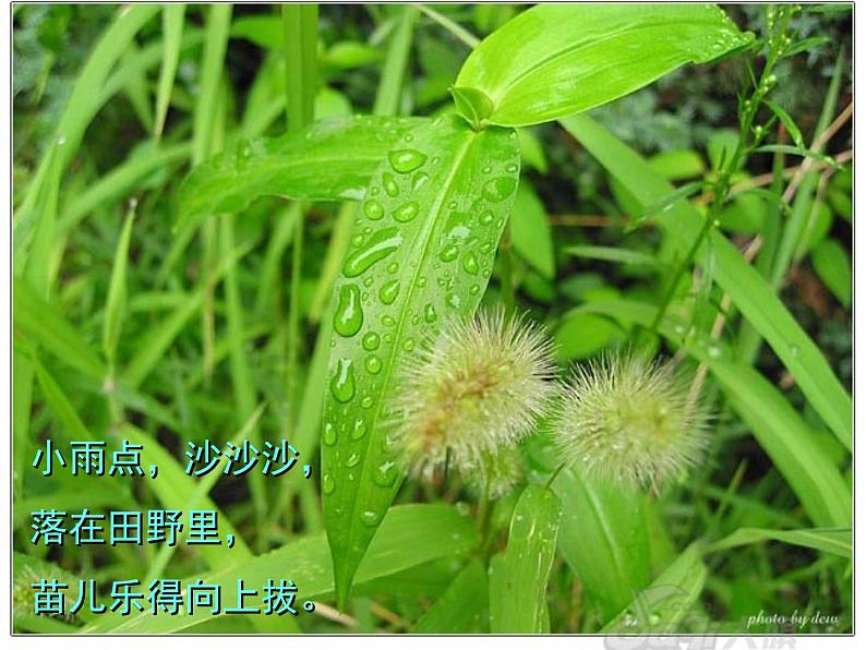 湘美版小学美术一下 1.小雨沙沙 课件第4页