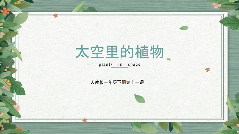 人教版小学一年级美术下册 第11课 太空中的植物 课件02