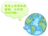 人教版小學一年級美術下冊 第11課 太空中的植物(1) 課件