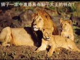 人教版小學一年級美術下冊 獅子大王 課件