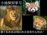 人教版小學一年級美術下冊 獅子大王 課件