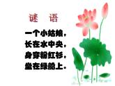 三年级下册美术课件－5荷花美 ｜赣美版