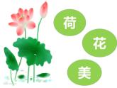 三年级下册美术课件－5荷花美 ｜赣美版