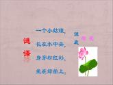 三年级下册美术课件－5荷花美 ｜赣美版 教案