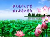 三年级下册美术课件－5荷花美 ｜赣美版 教案