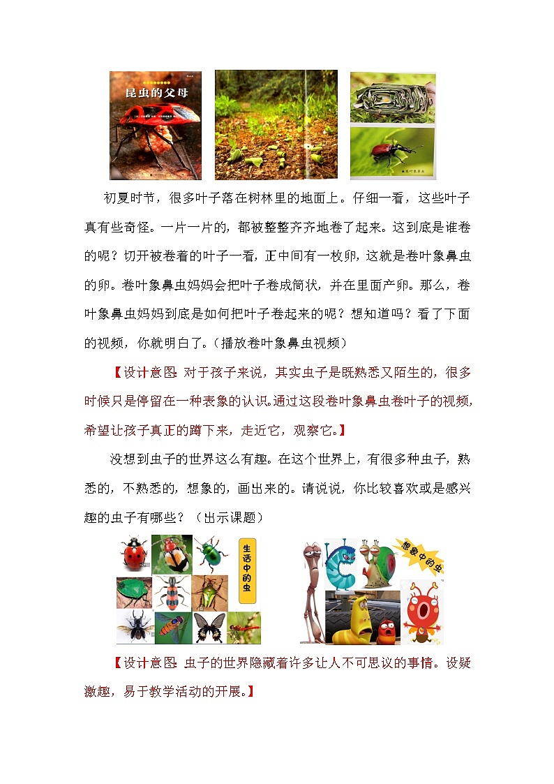 二年级下册美术教案－15虫虫虫（二） ｜苏少版第2页