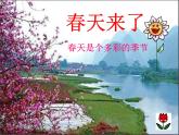 赣美版二下4.春夏的色彩 课件
