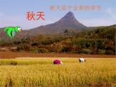 赣美版二下4.春夏的色彩 课件