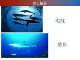 赣美版二下7.水族馆 课件
