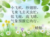 赣美版二下5.虫虫世界 课件