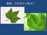 赣美版一下14.剪彩纸 课件