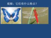 赣美版一下14.剪彩纸 课件