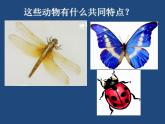 赣美版一下14.剪彩纸 课件