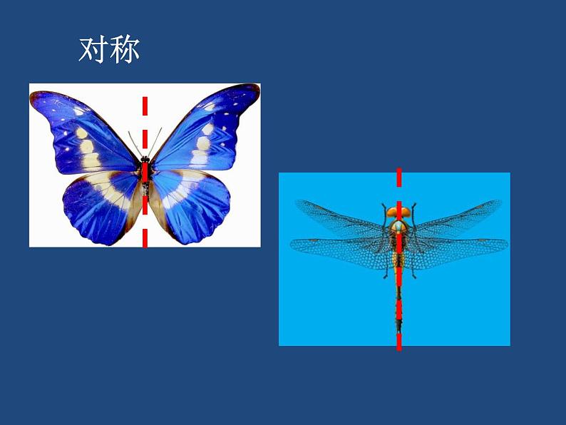 赣美版一下14.剪彩纸 课件06