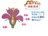 赣美版四下  6.献给母亲的礼物 课件