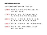 赣美版六下 19.肖形印 课件